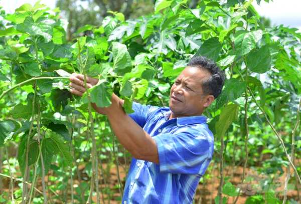 Mr. Thành Trung